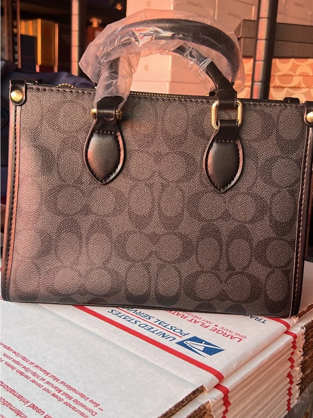 Coach Black Signature Canvas Satchel with Black Handles